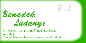 benedek ludanyi business card